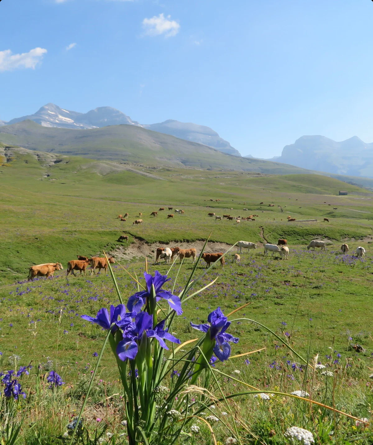 © Bergfreunde München © Bergfreunde München