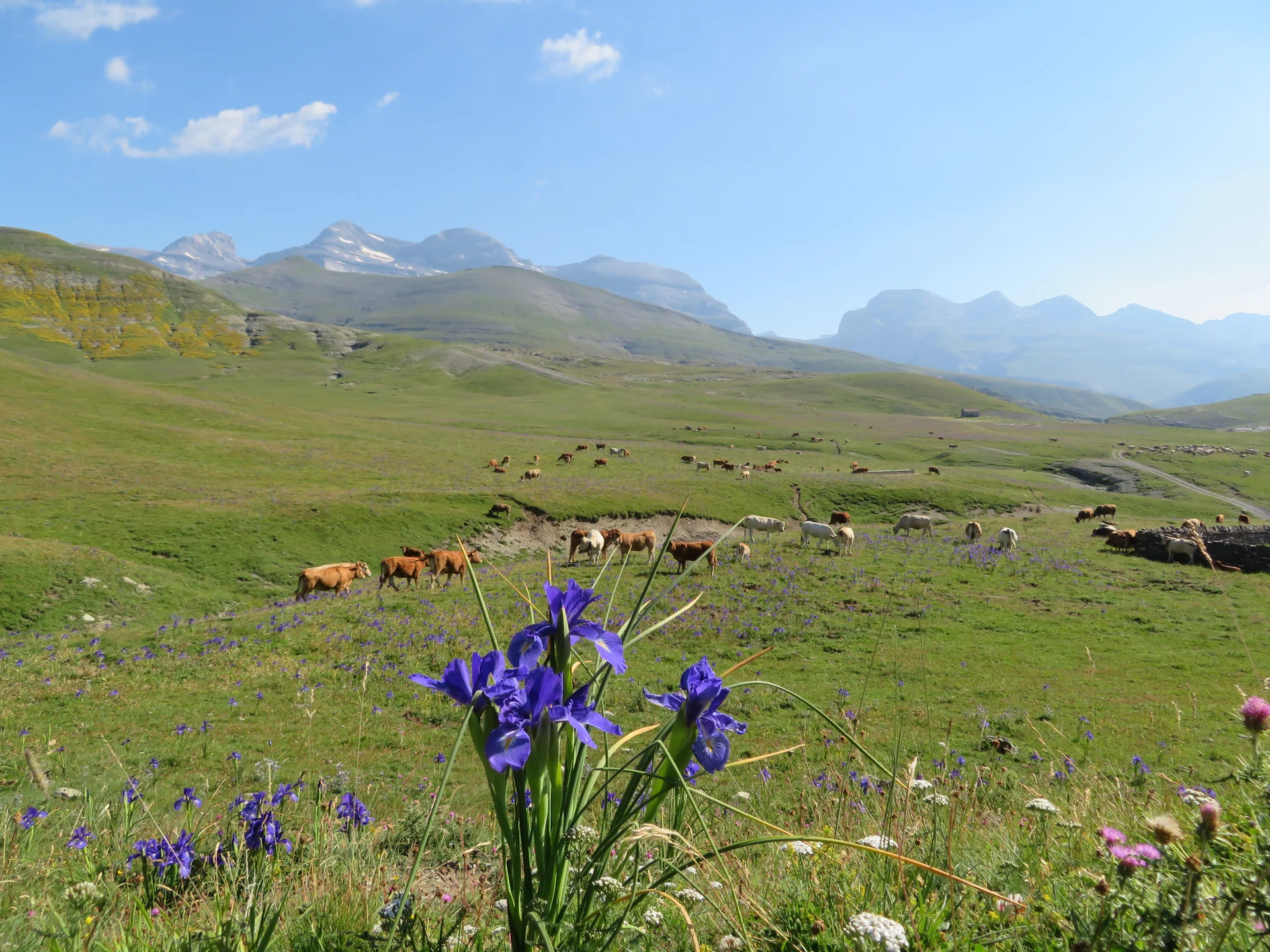 © Bergfreunde München © Bergfreunde München