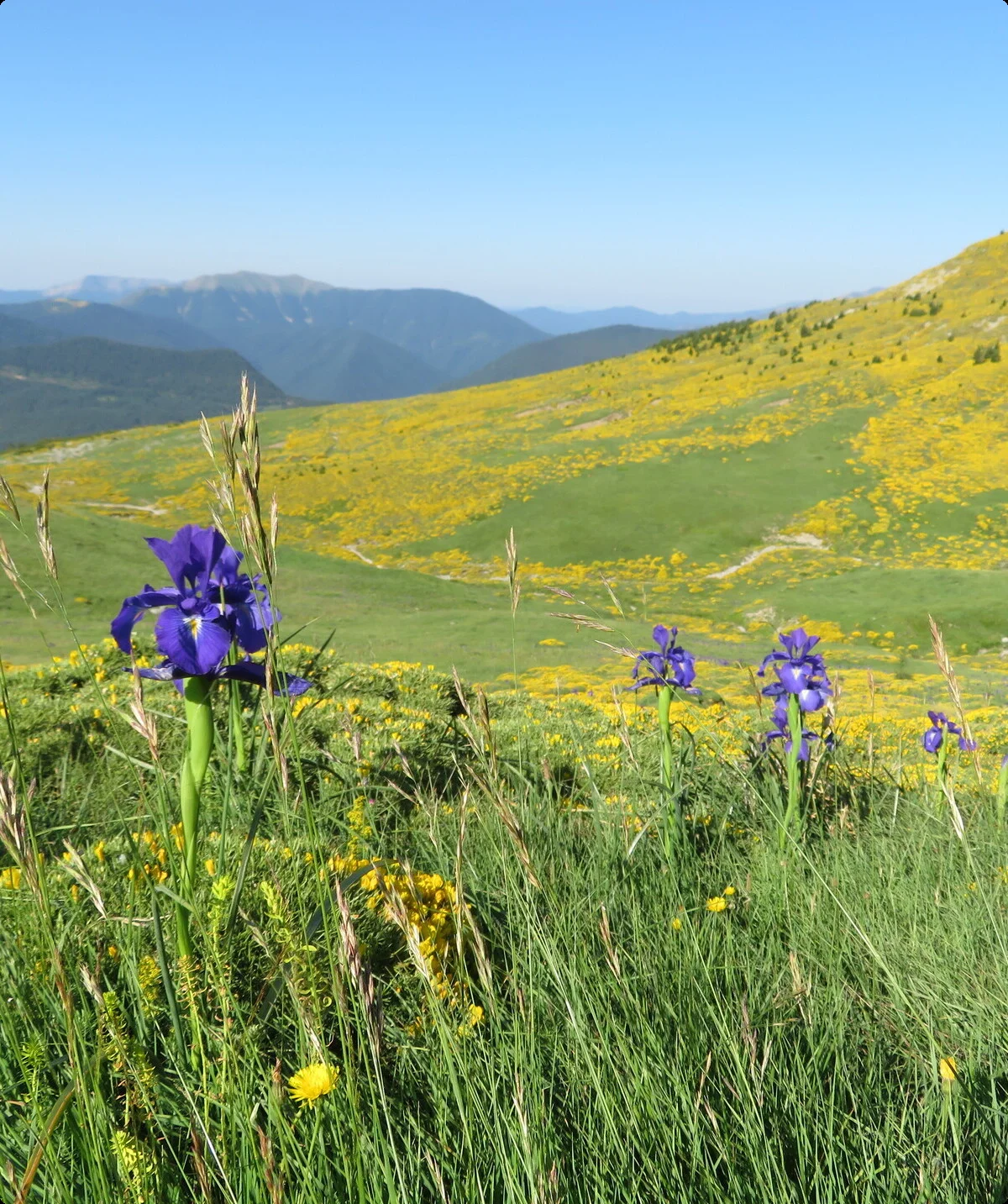 © Bergfreunde München © Bergfreunde München