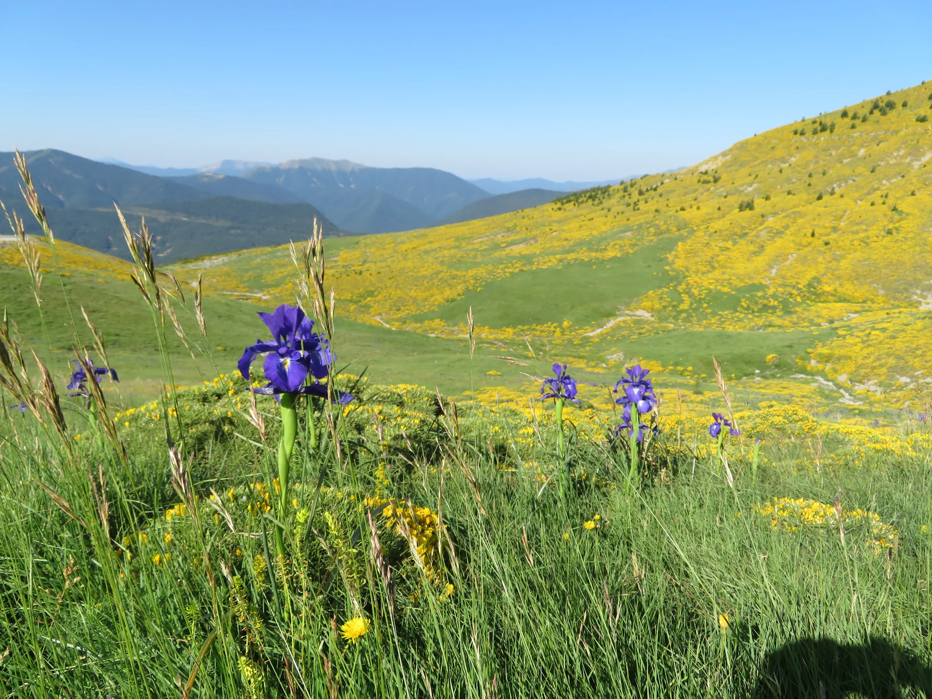 © Bergfreunde München