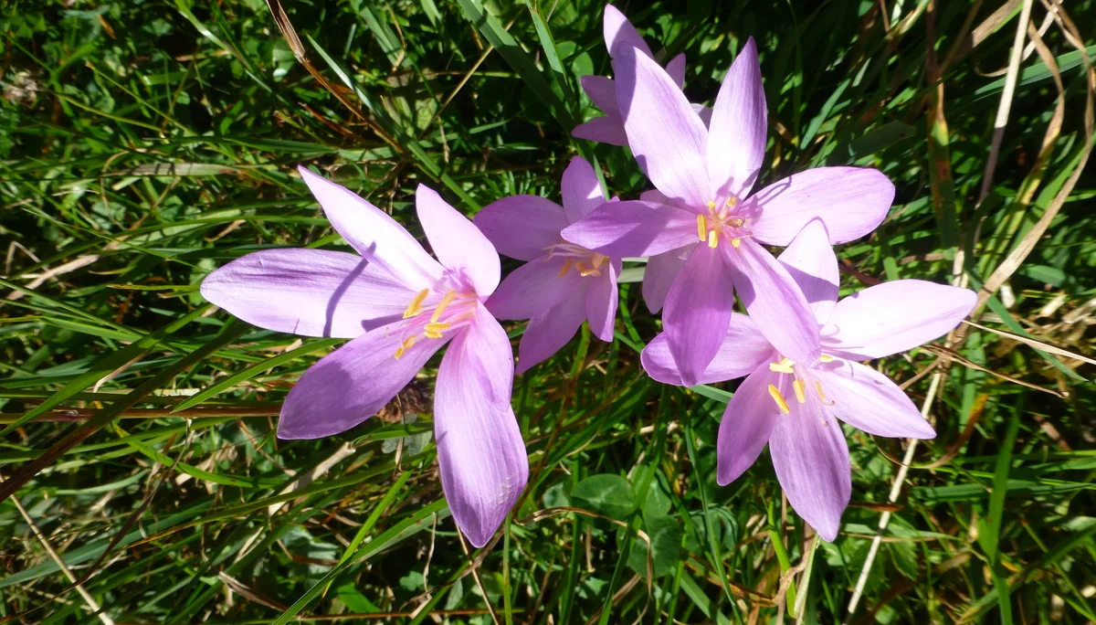 © Bergfreunde Muenchen JvU