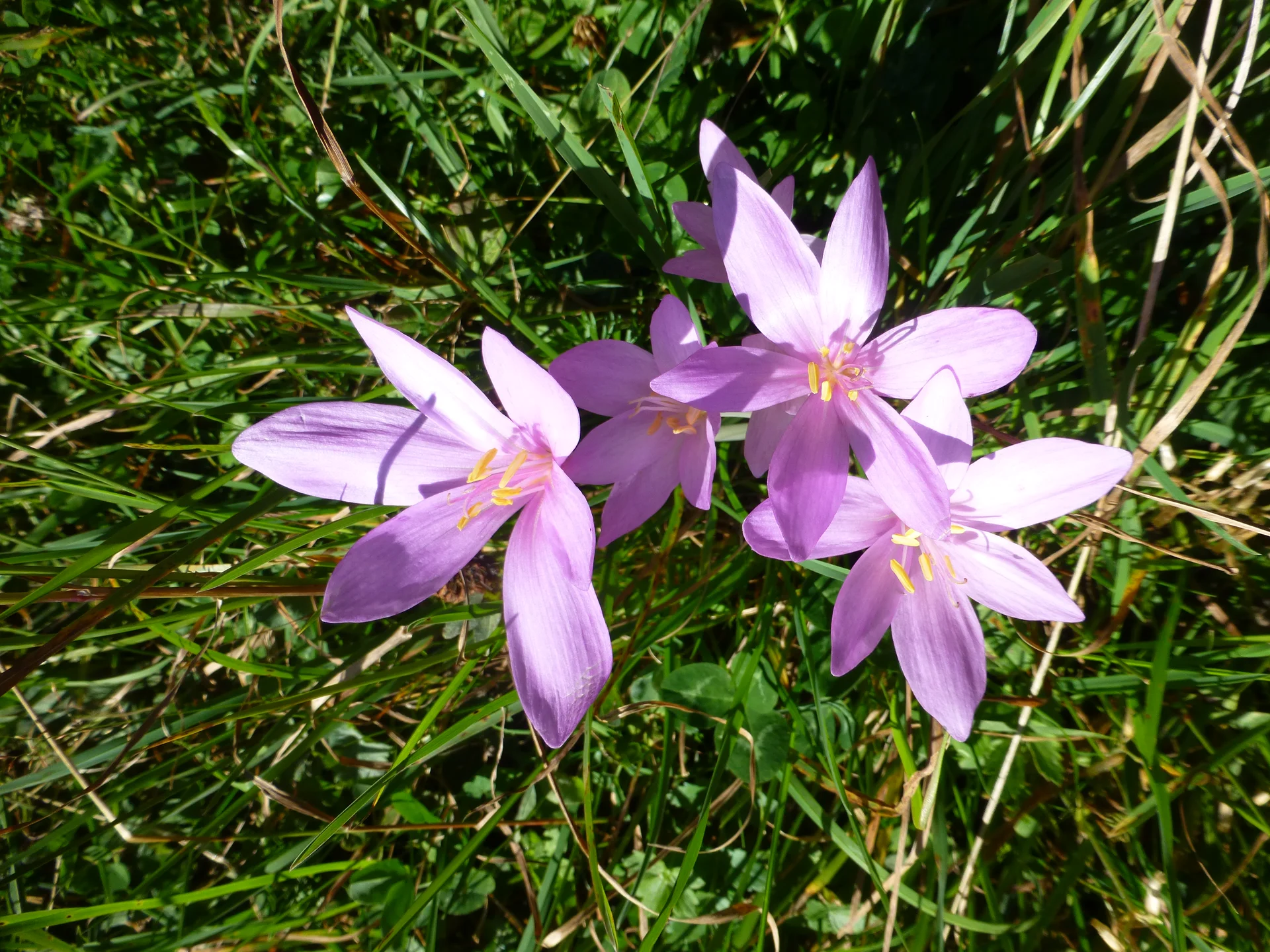 © Bergfreunde Muenchen JvU