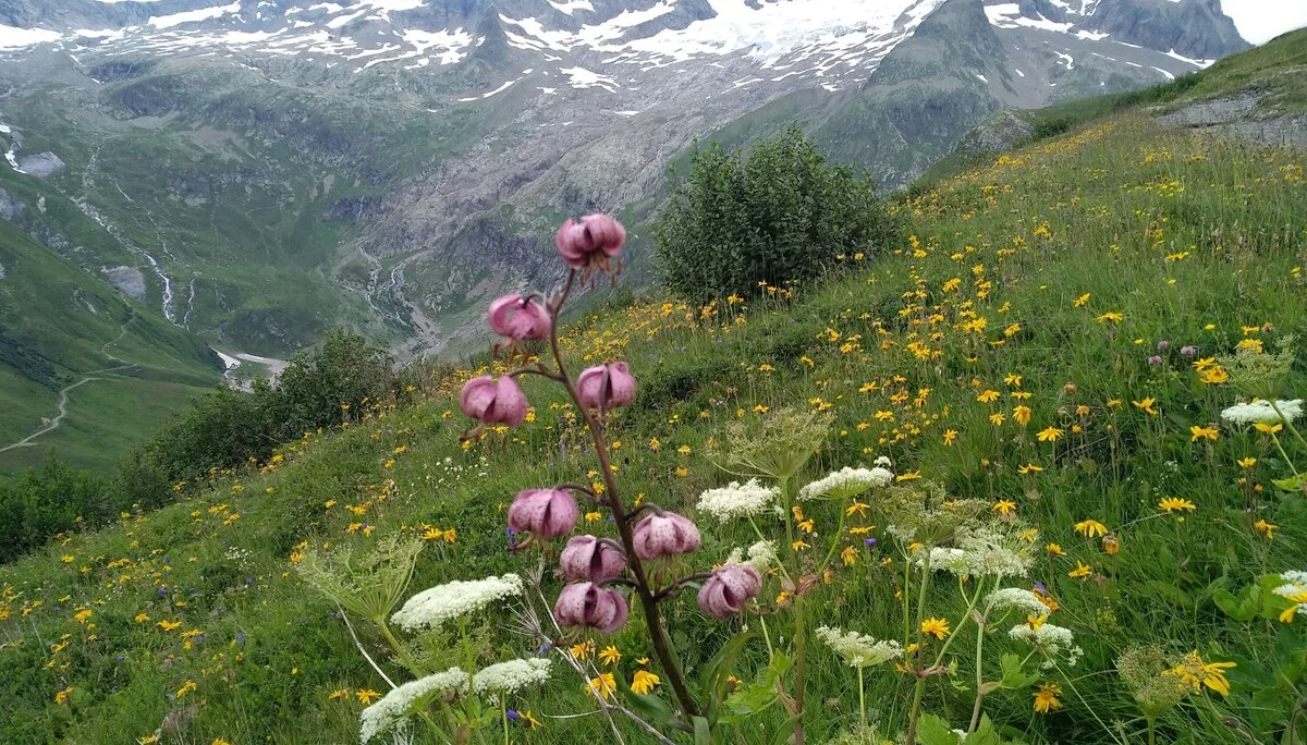 © Bergfreunde München