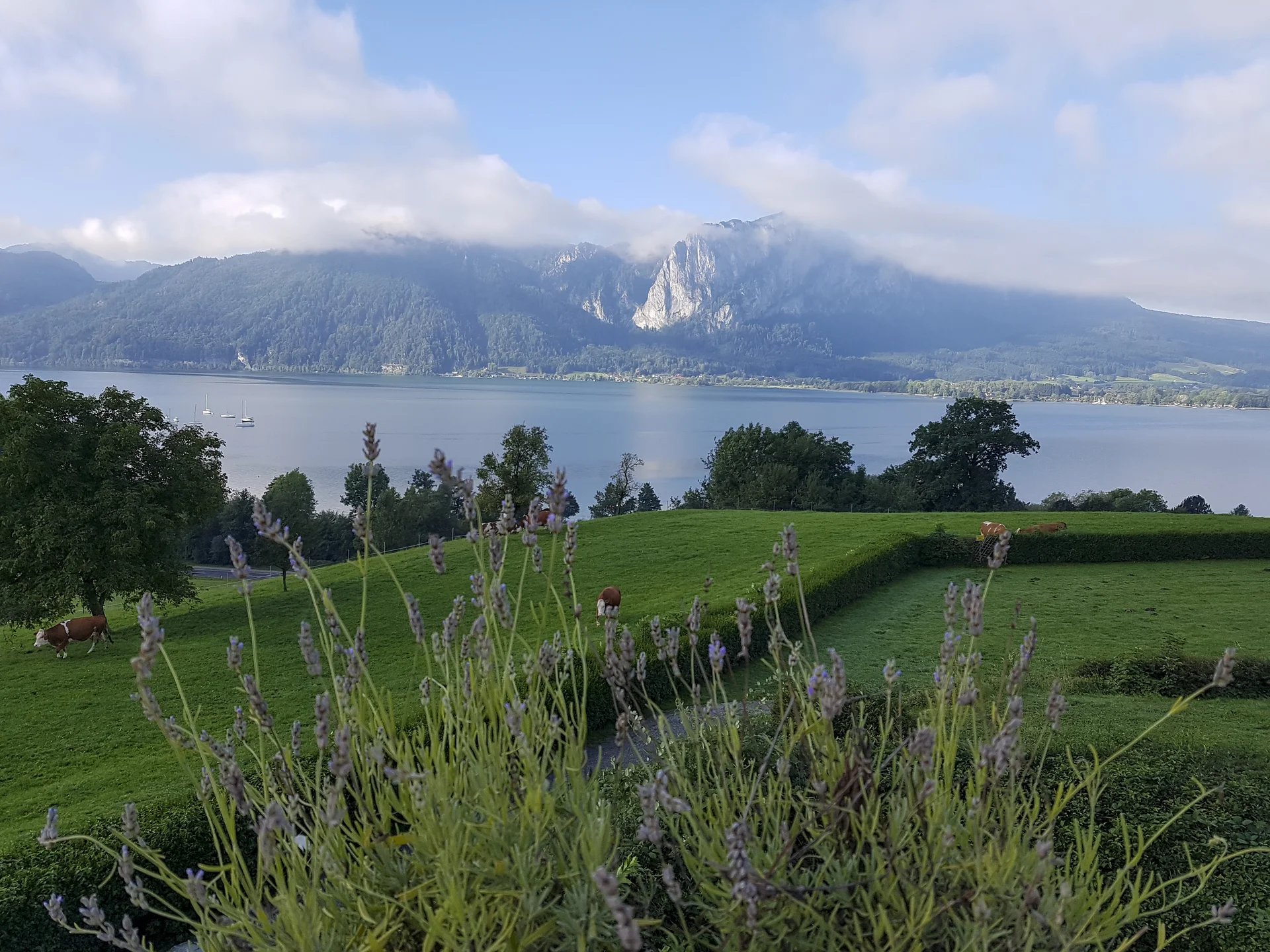 Mondsee | © Bergfreunde München