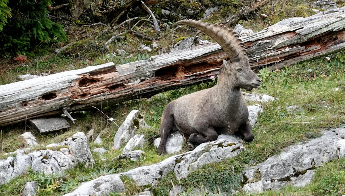 © Bergfreunde München