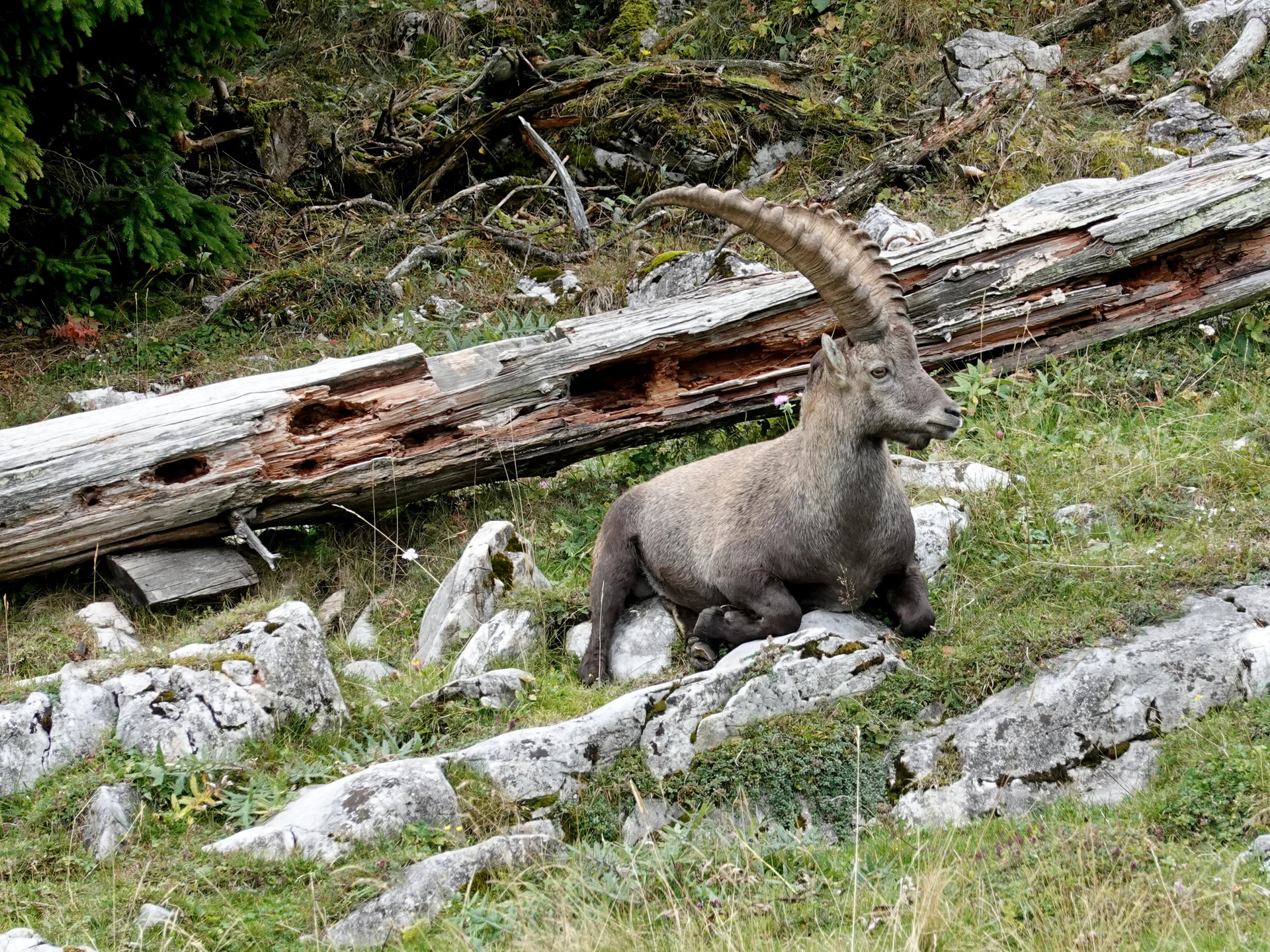 © Bergfreunde München