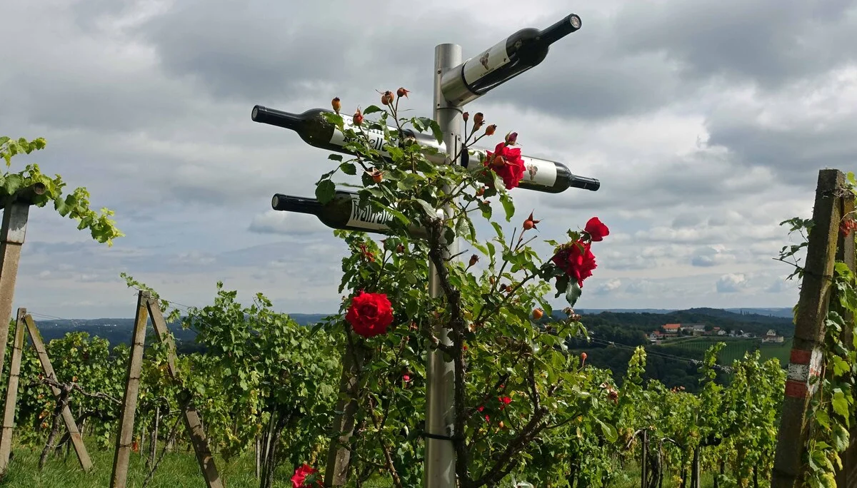 Weinweg | © Bergfreunde München