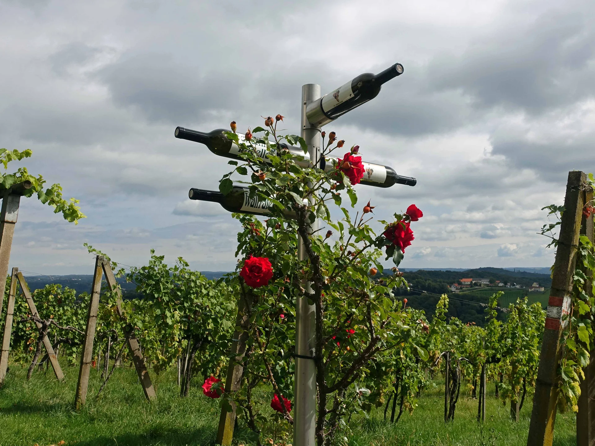 Weinweg | © Bergfreunde München