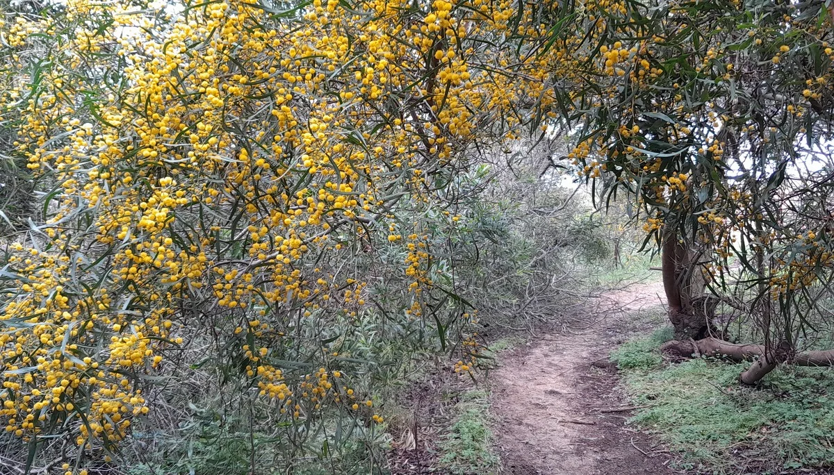 © Bergfreunde München FS