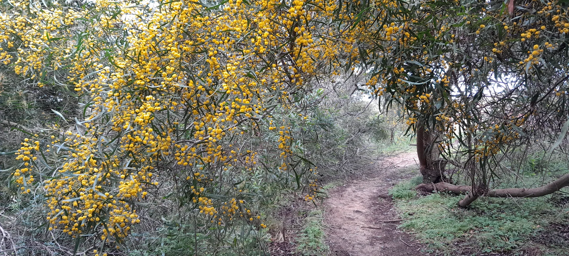 © Bergfreunde München FS