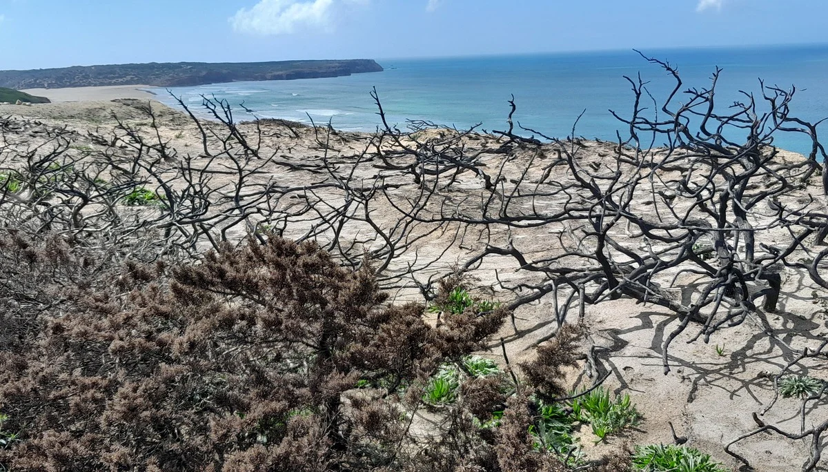 © Bergfreunde München FS