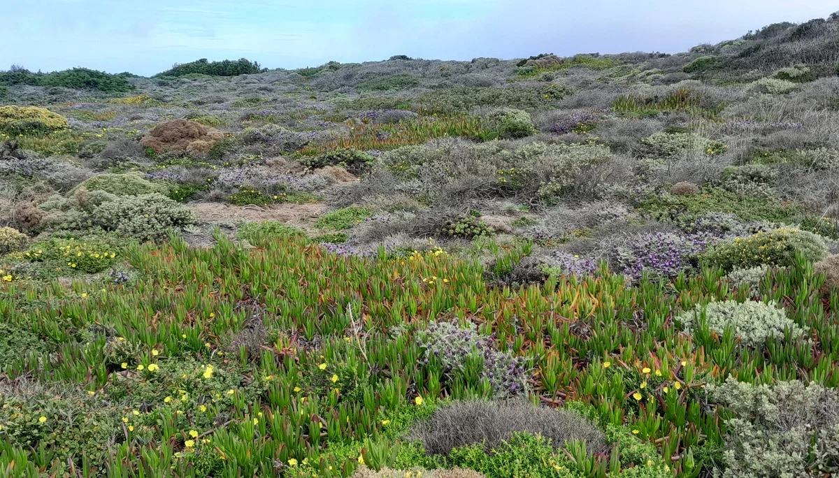 © Bergfreunde München FS