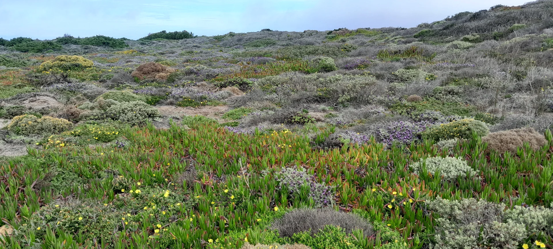 © Bergfreunde München FS