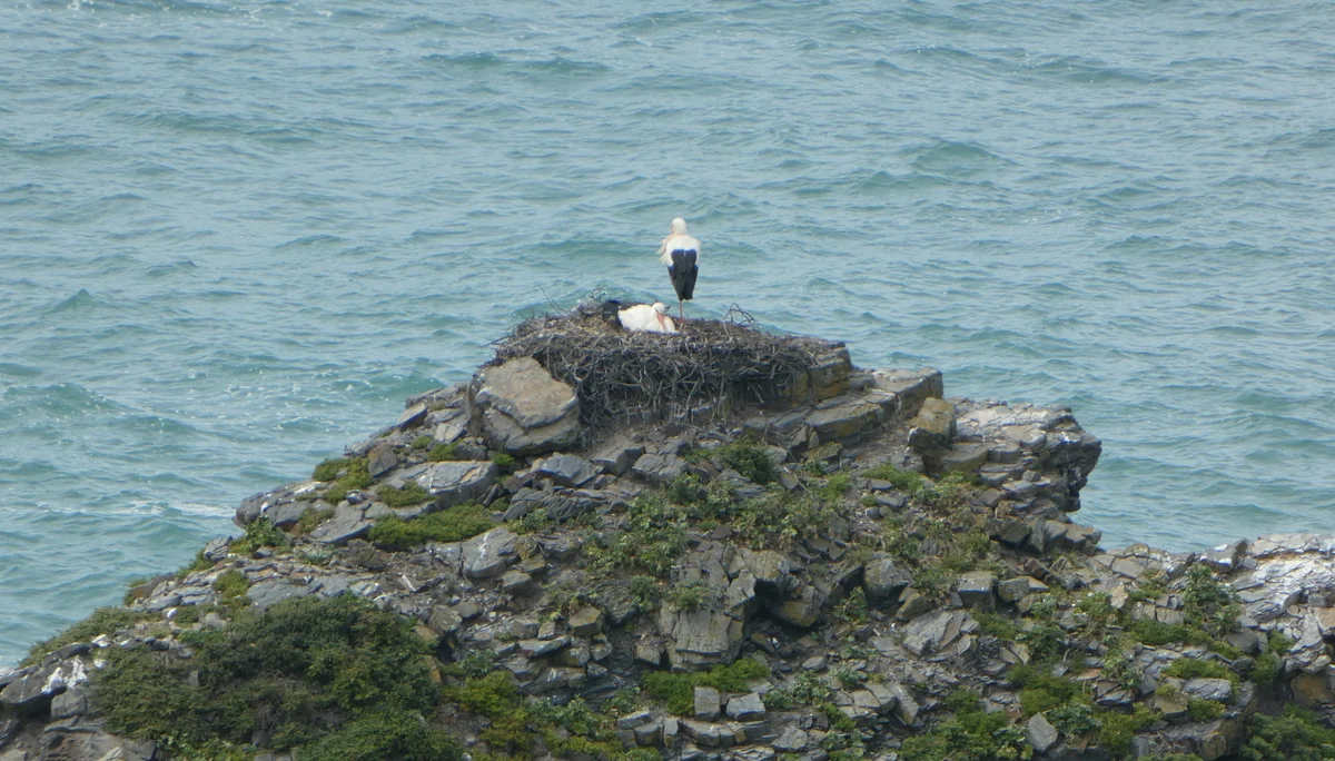 © Bergfreunde München FS