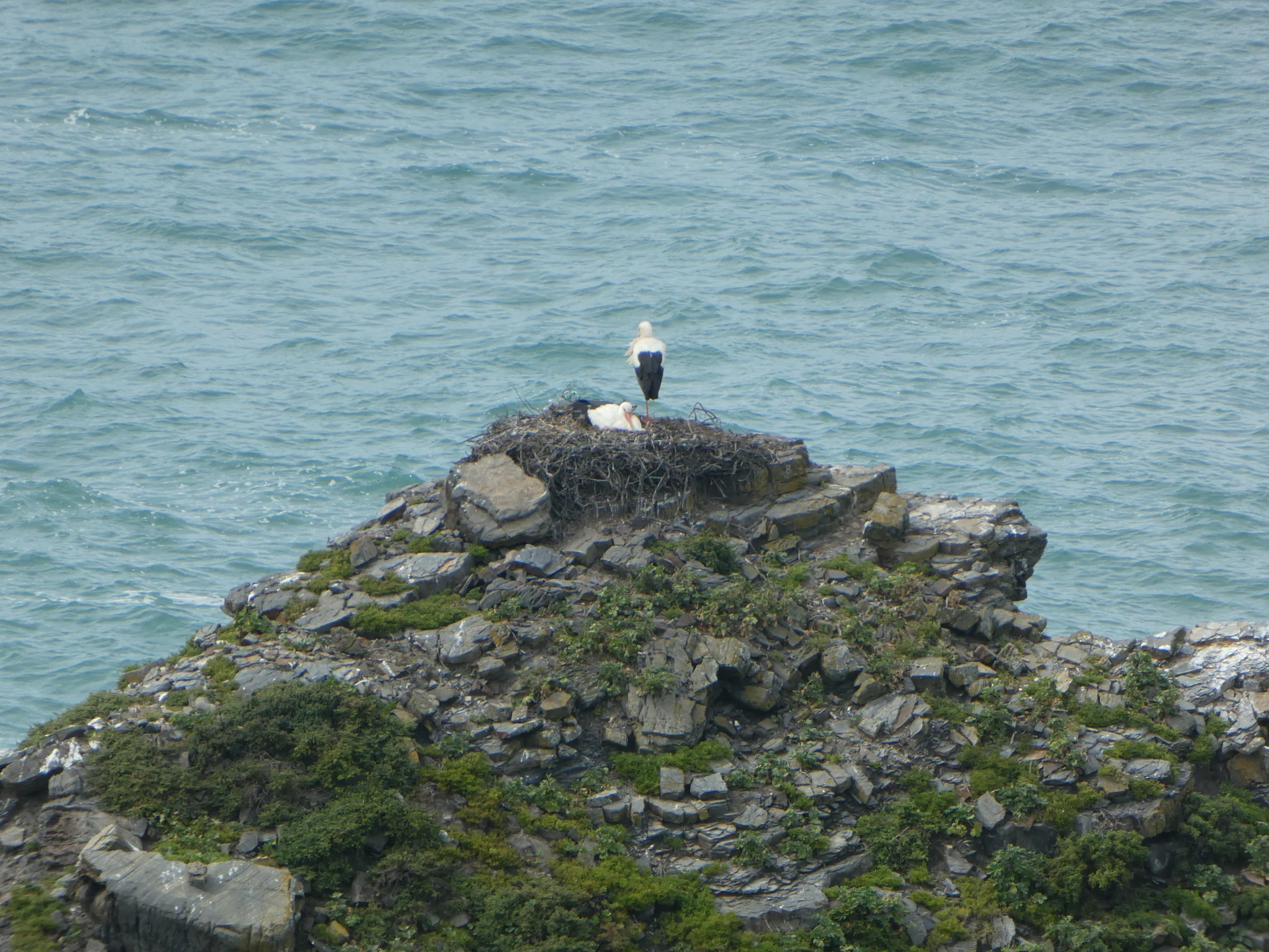 © Bergfreunde München FS