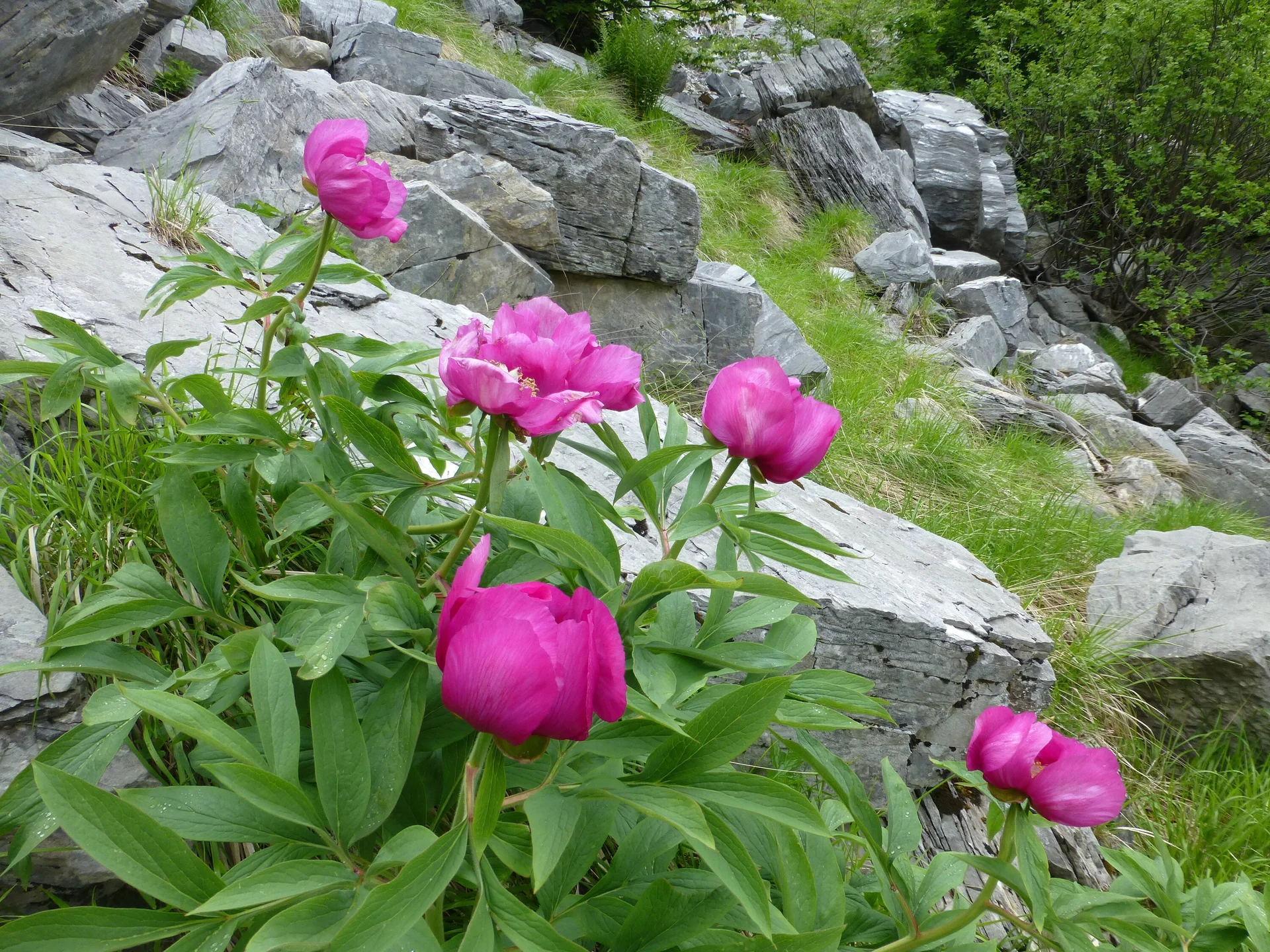 © Bergfreunde München JvU
