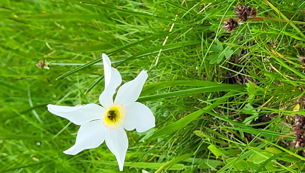 © Bergfreunde München BE