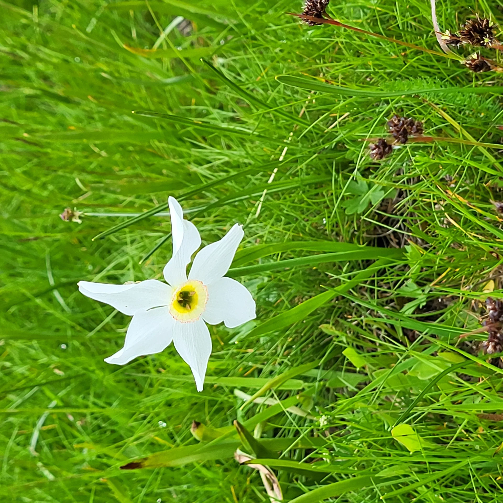 © Bergfreunde München BE