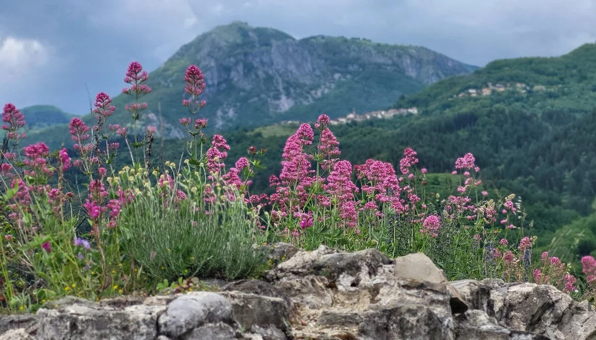 © Bergfreunde München BE