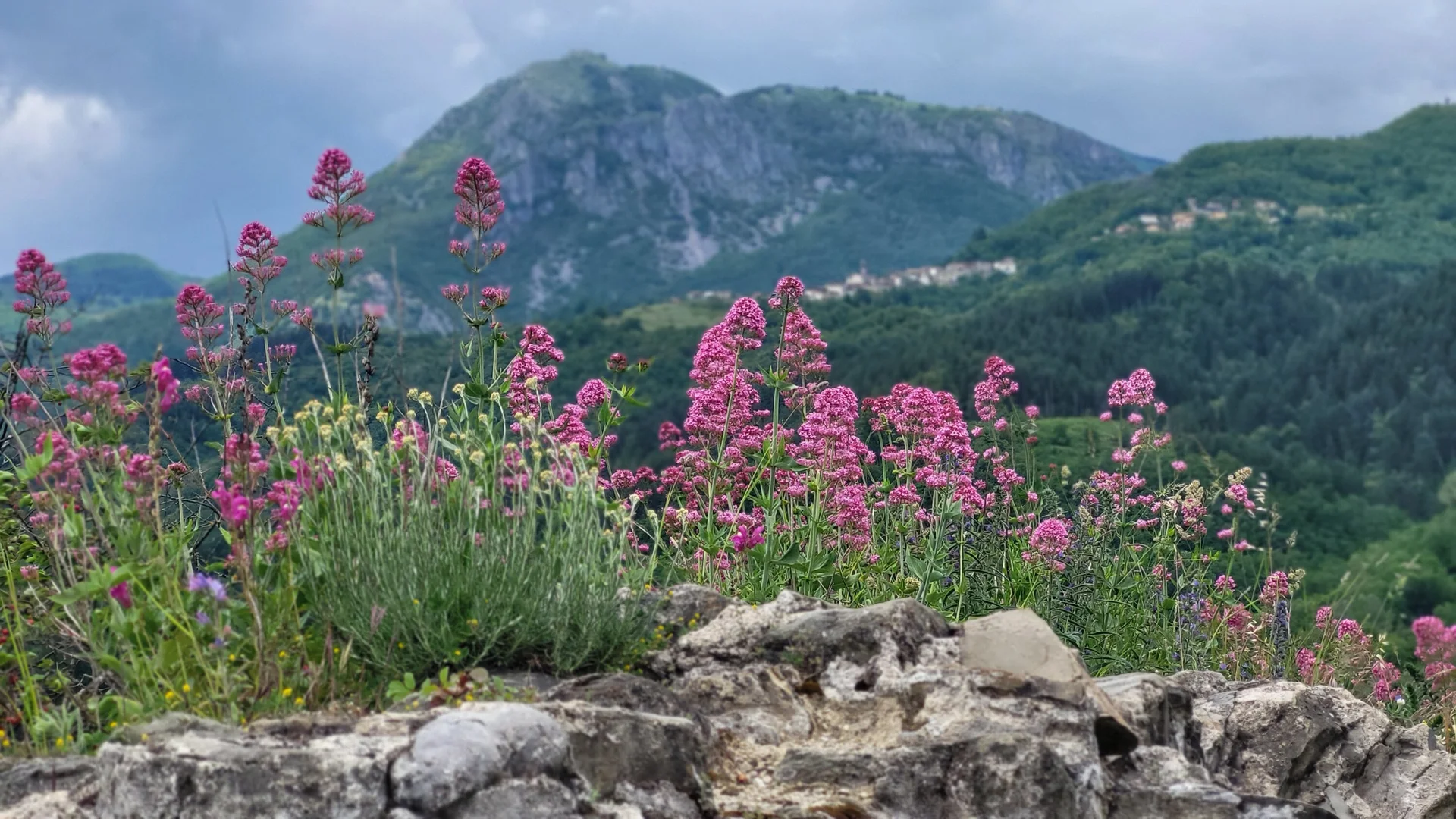 © Bergfreunde München BE