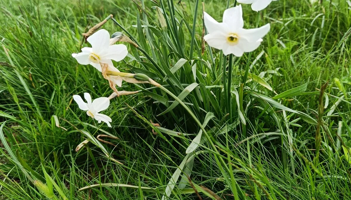 © Bergfreunde München JvU