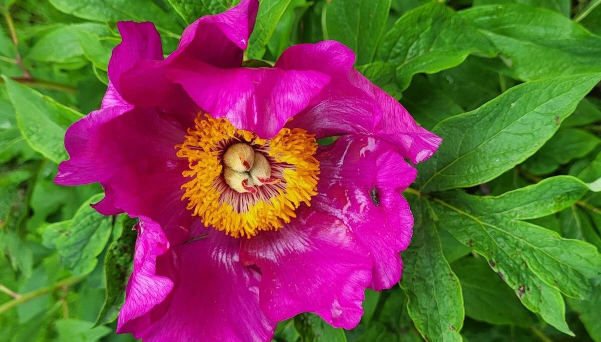 © Bergfreunde München BE