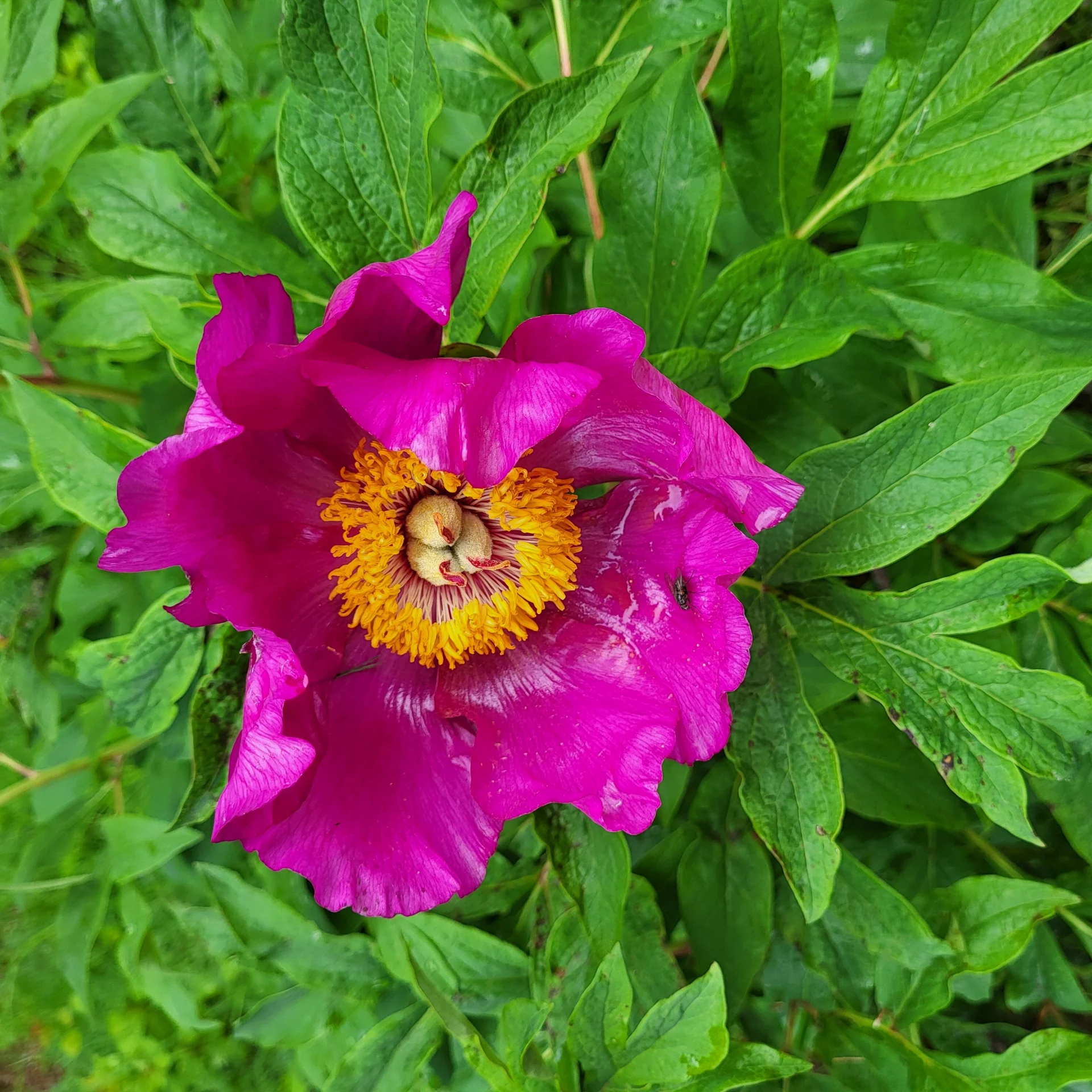 © Bergfreunde München BE