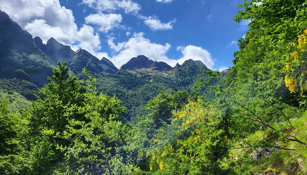 © Bergfreunde München BE