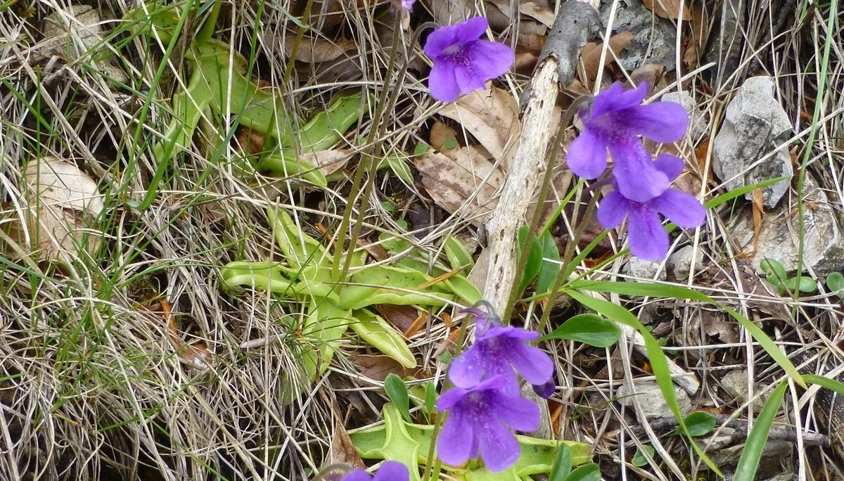 © Bergfreunde München JvU
