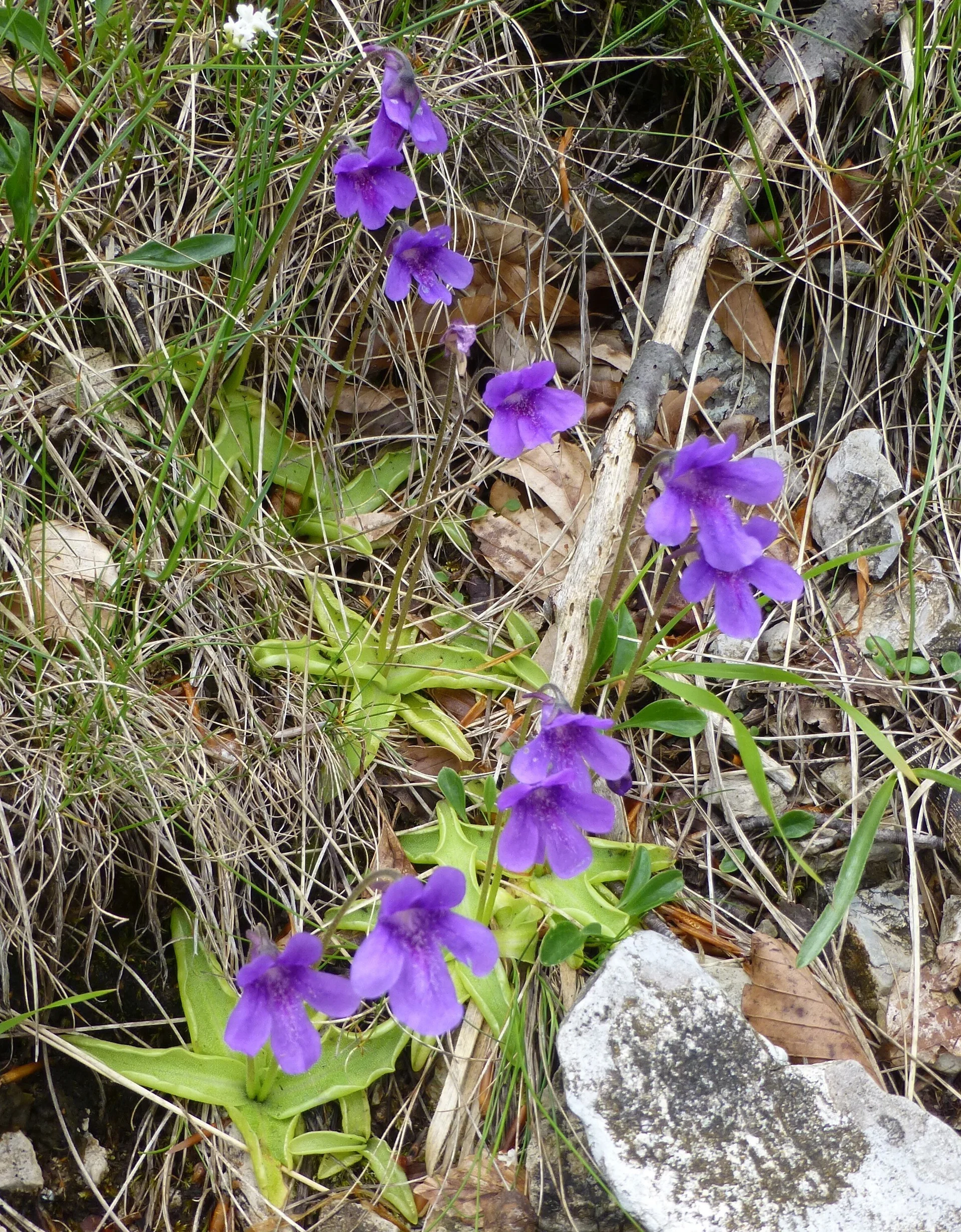 © Bergfreunde München JvU