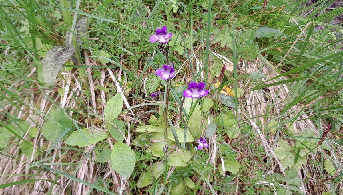 © Bergfreunde München ms