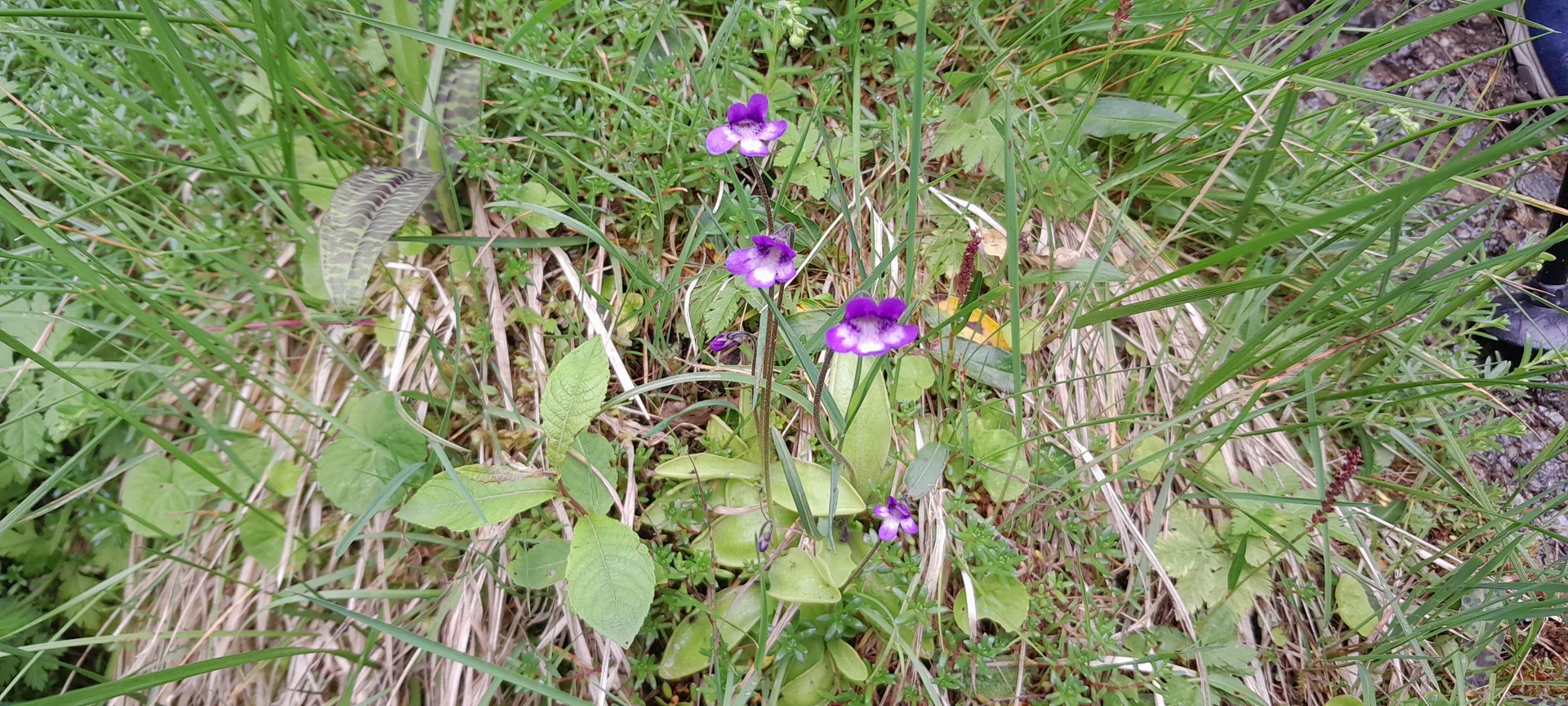 © Bergfreunde München ms