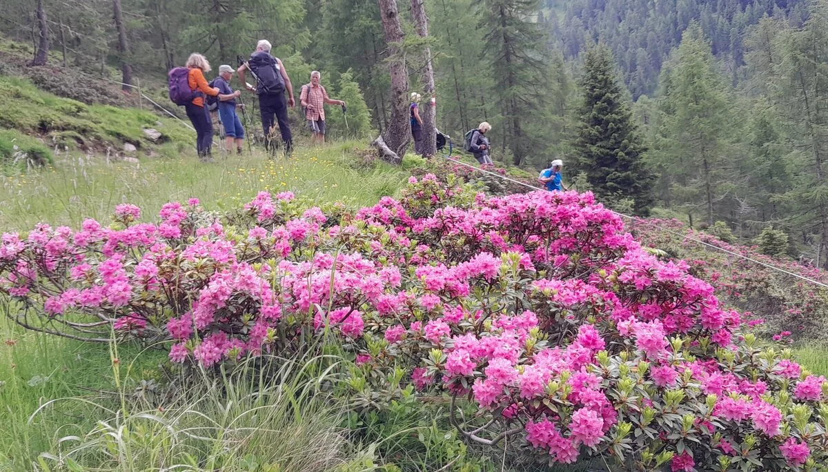 © Bergfreunde München ms