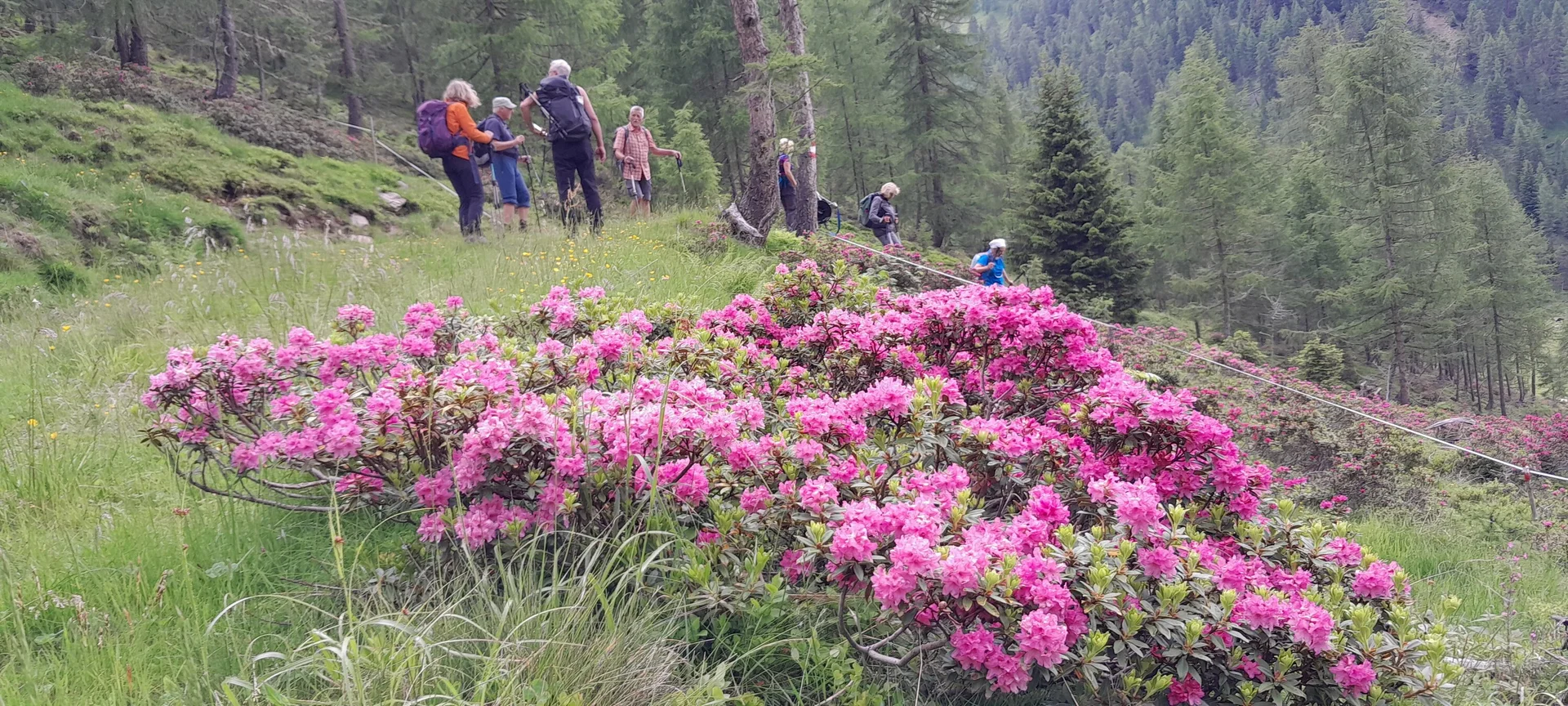 © Bergfreunde München ms