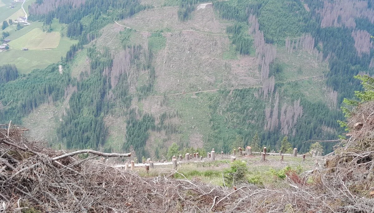 © Bergfreunde München ms