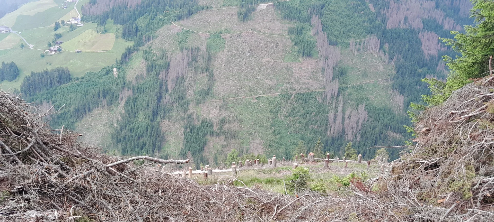 © Bergfreunde München ms