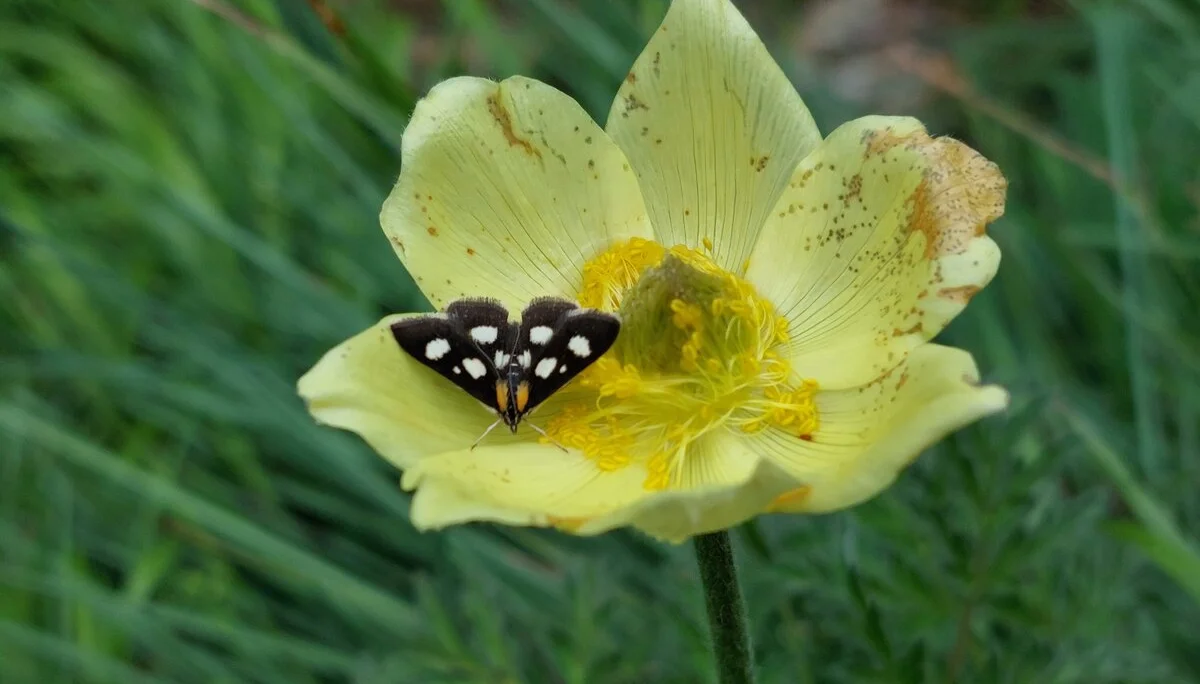 © Bergfreunde München ms
