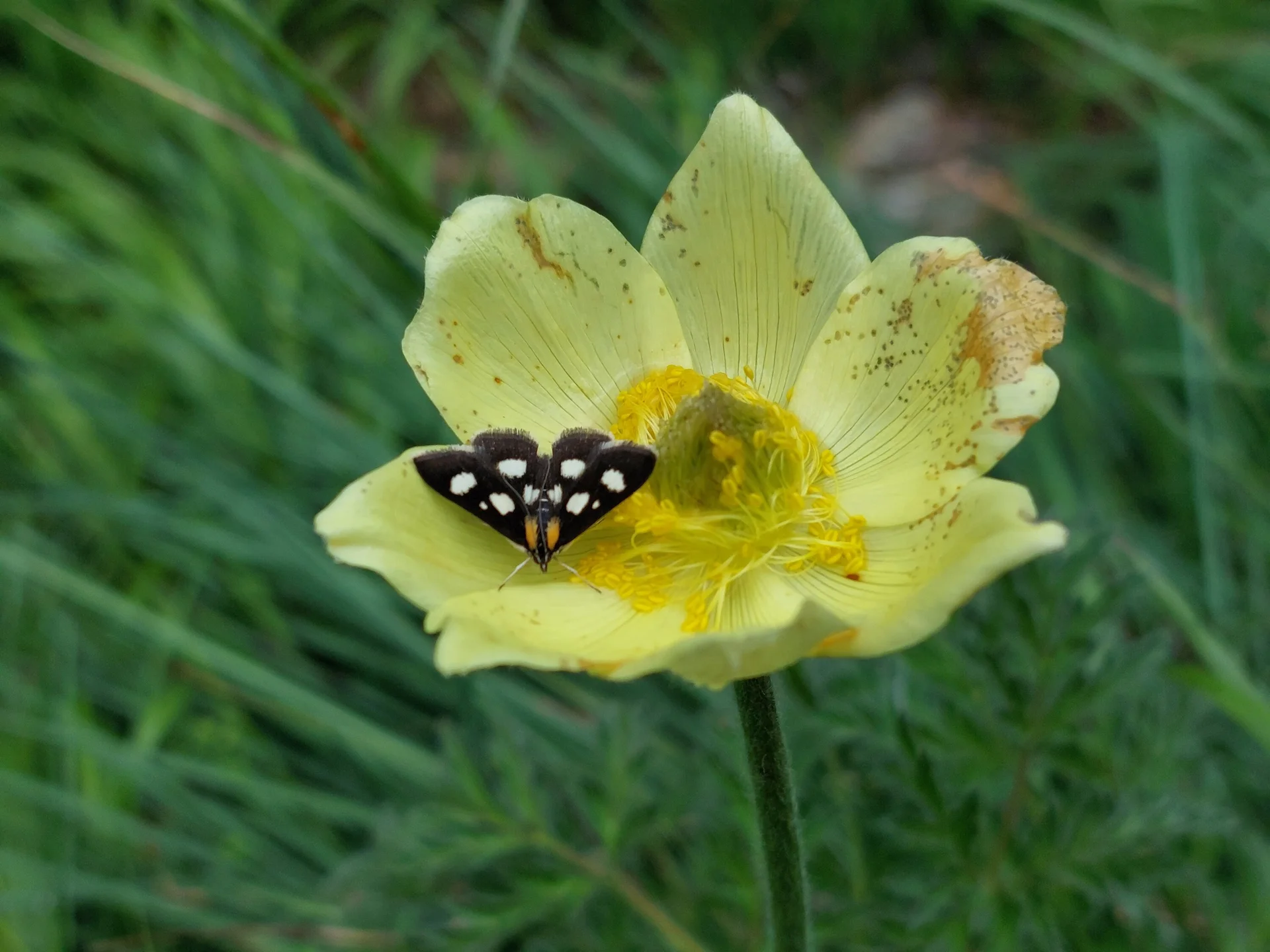 © Bergfreunde München ms
