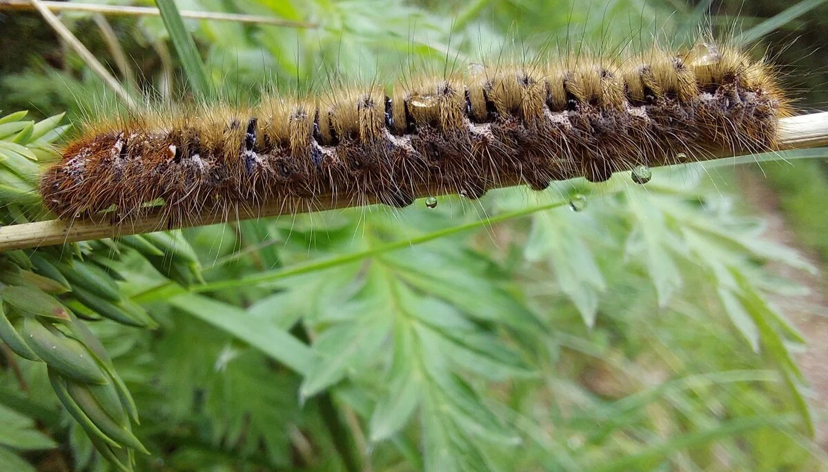 © Bergfreunde München ms