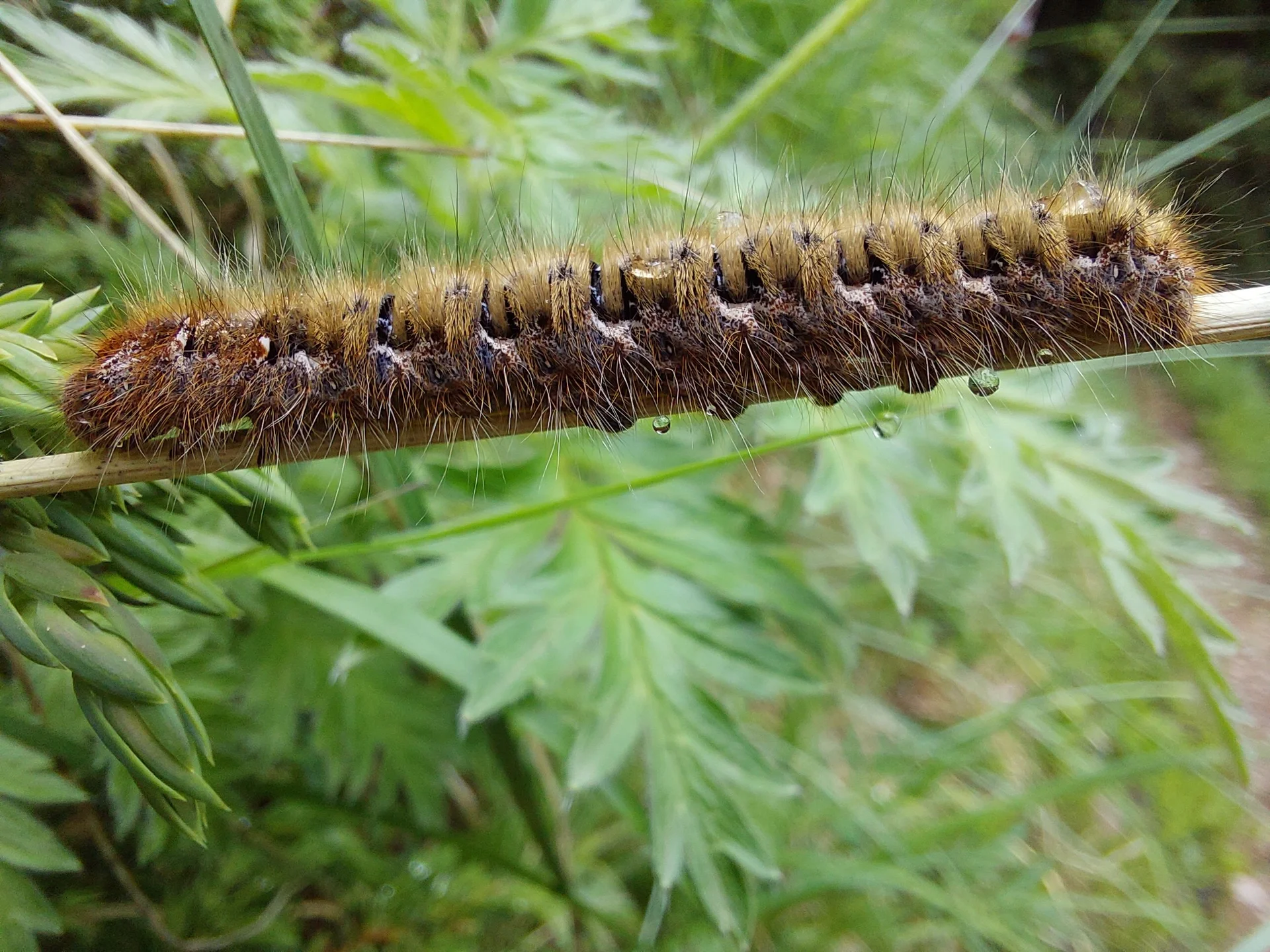 © Bergfreunde München ms