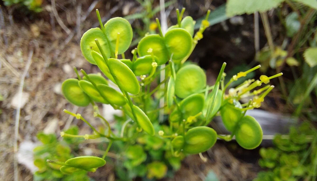 © Bergfreunde München ms