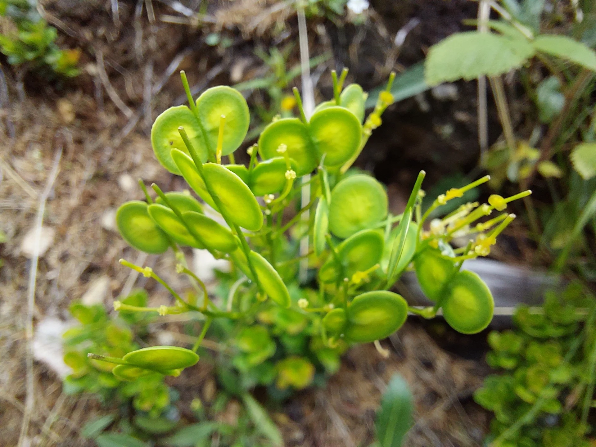 © Bergfreunde München ms