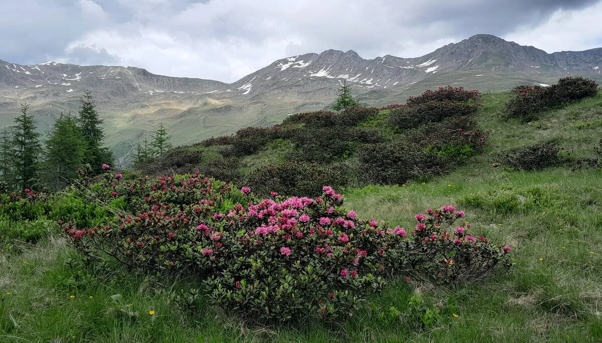 © Bergfreunde München ms