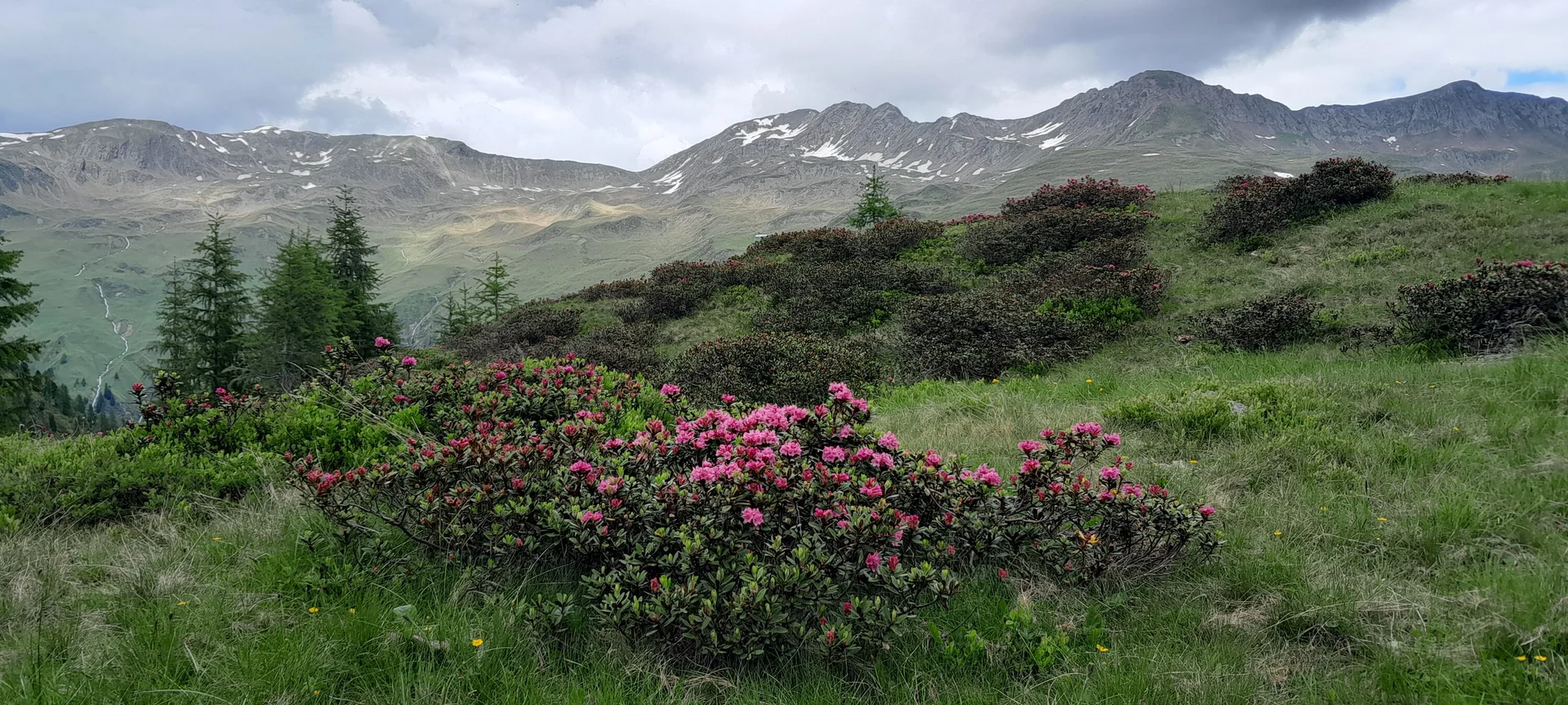 © Bergfreunde München ms