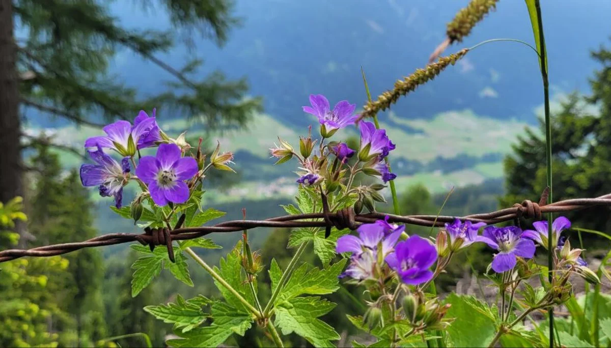 © Bergfreunde-Muenchen ZSJ
