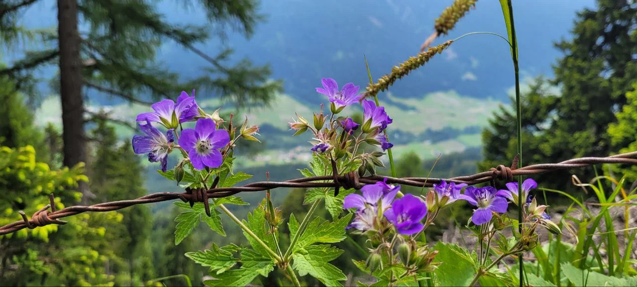 © Bergfreunde-Muenchen ZSJ