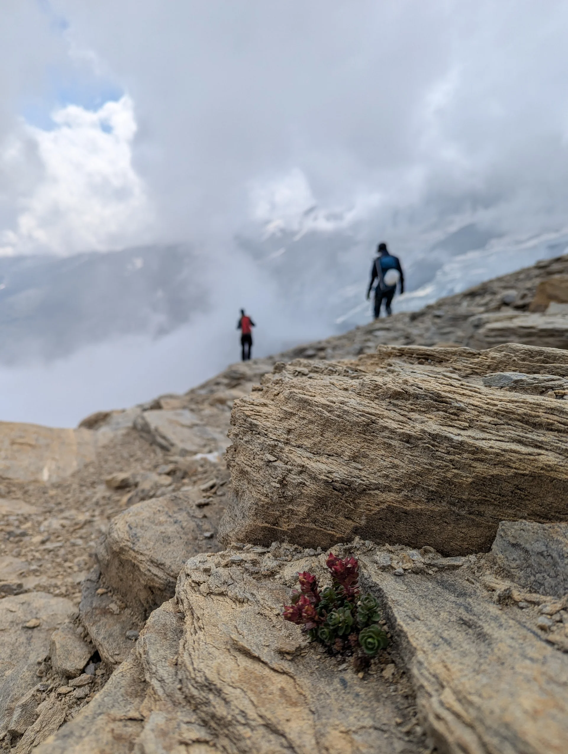 © Bergfreunde-Muenchen GZ