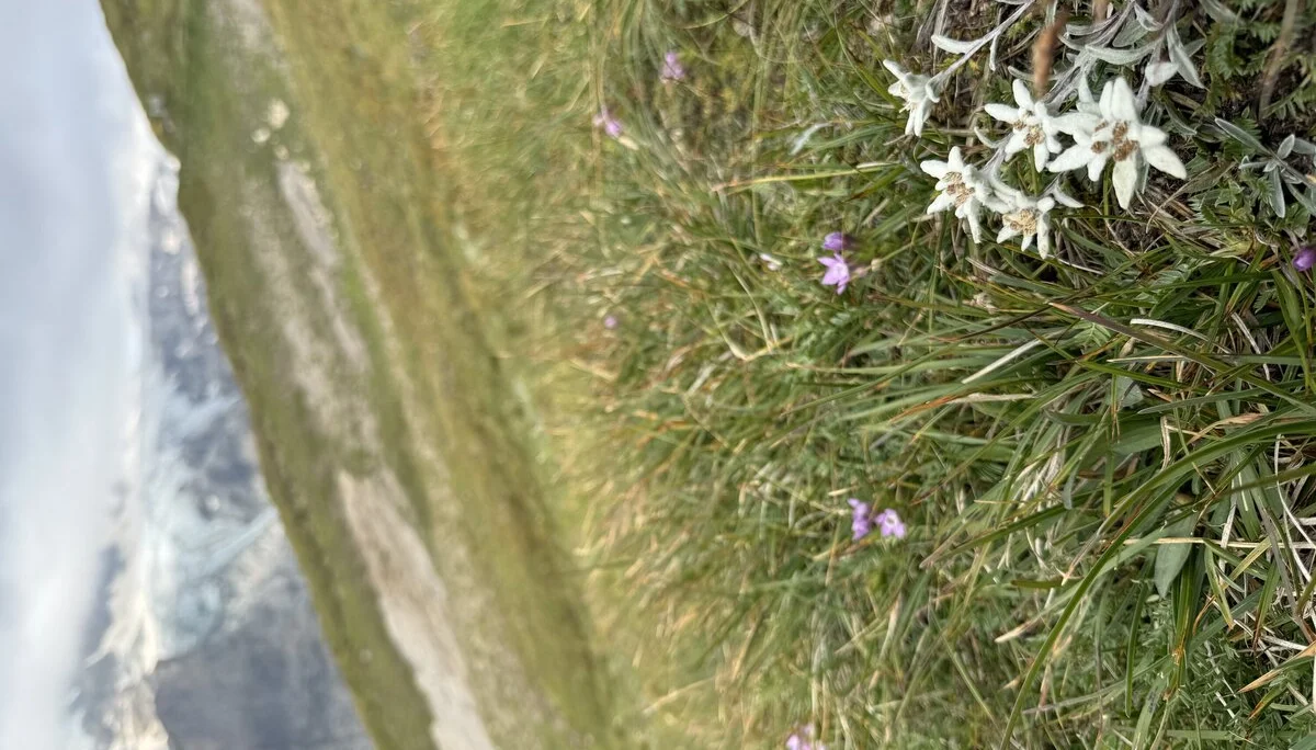 © Bergfreunde-Muenchen SM