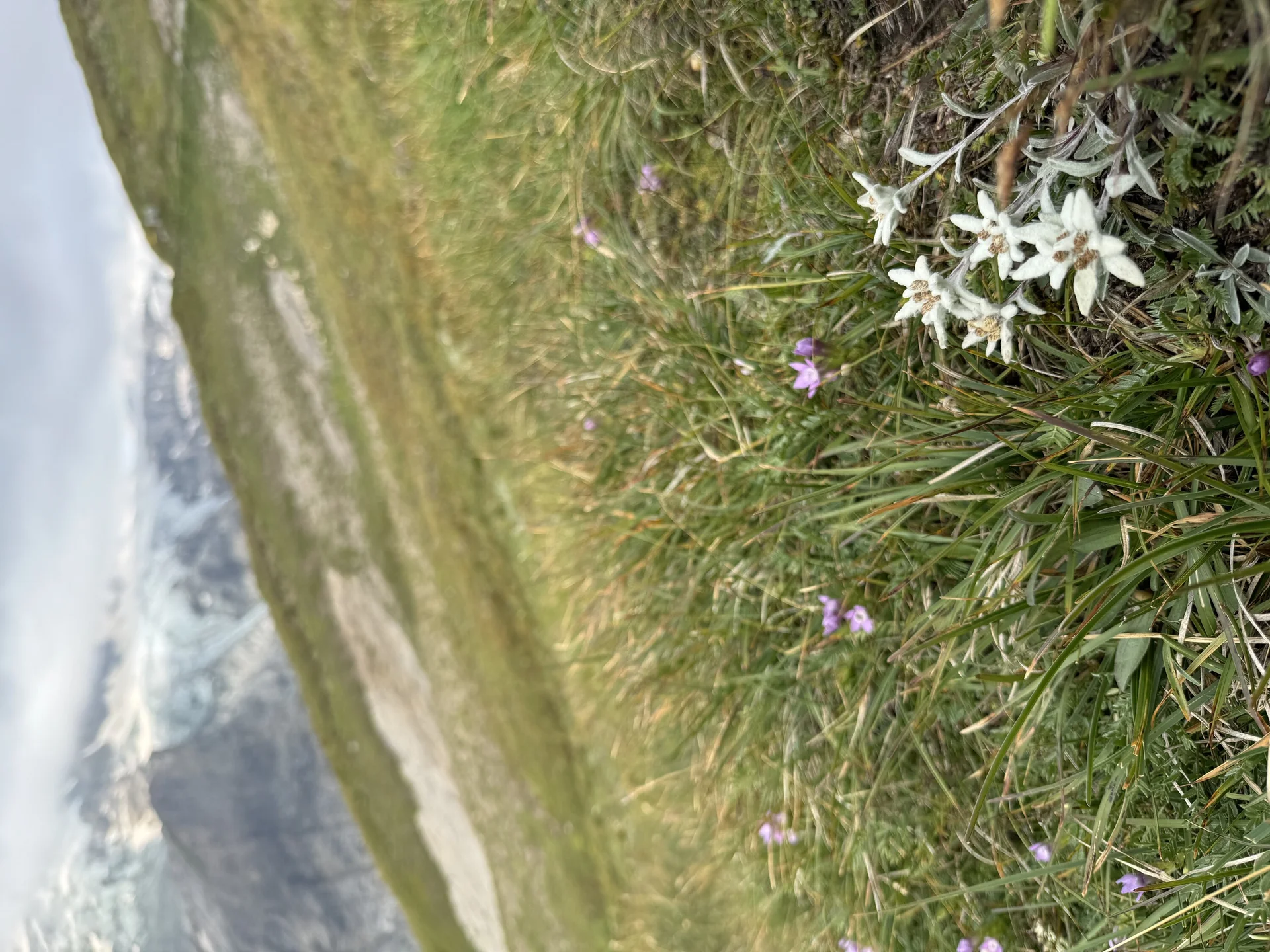 © Bergfreunde-Muenchen SM