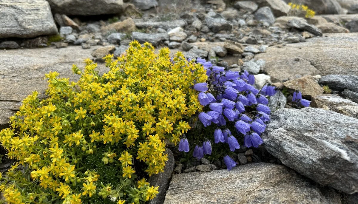 © Bergfreunde-Muenchen SM